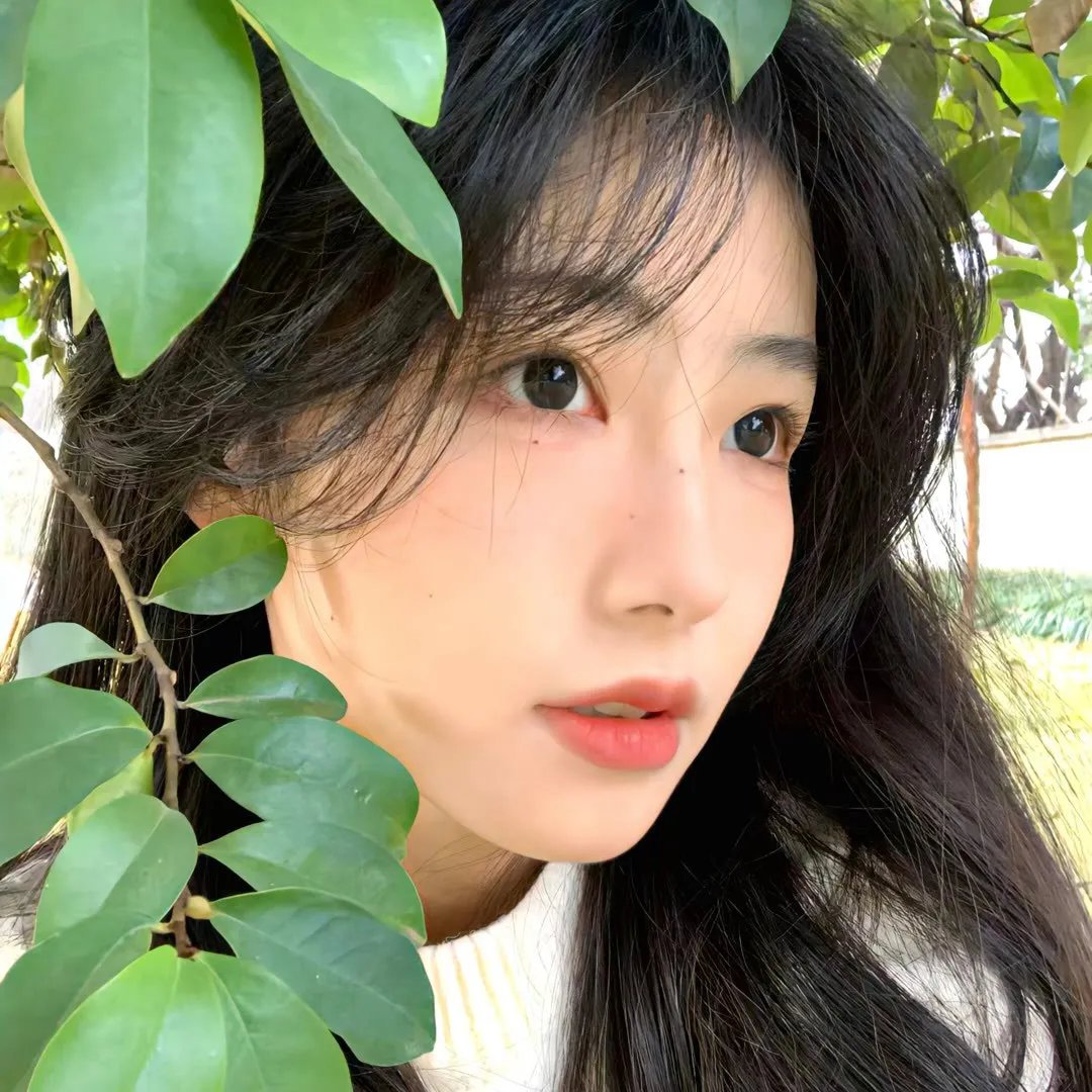 悬案密码2:野鸡杀手